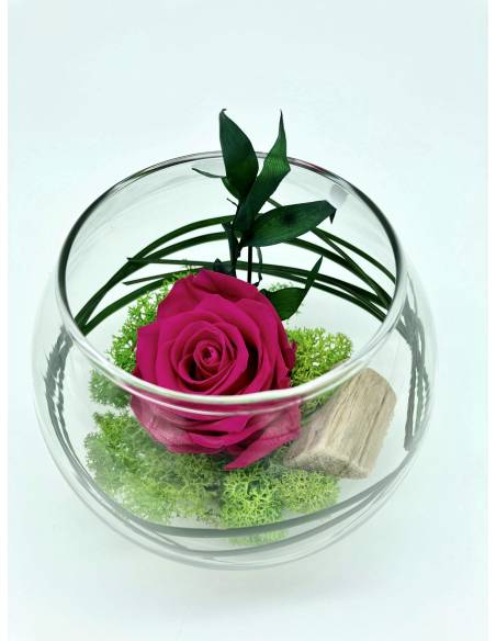 Boule déco rose éternelle Fuchsia lichen