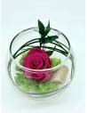 Boule déco rose éternelle Fuchsia lichen