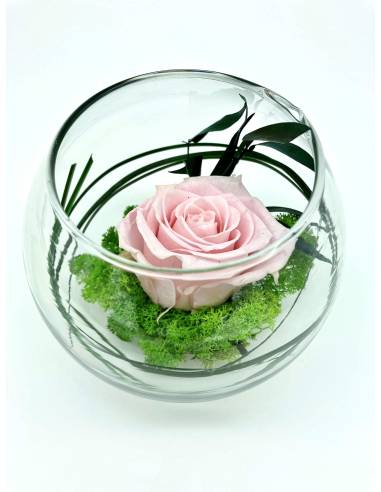 Boule déco rose éternelle Rose lichen, vue 3