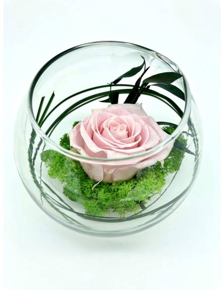 Boule déco rose éternelle Rose lichen, vue 3