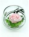 Boule déco rose éternelle Rose lichen, vue 3