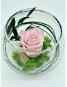 Boule déco rose éternelle Rose lichen