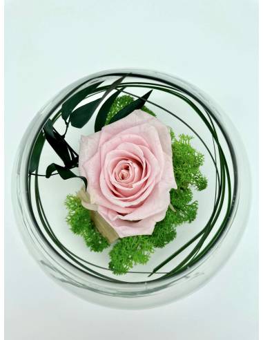 Boule déco rose éternelle Rose lichen, vue 4