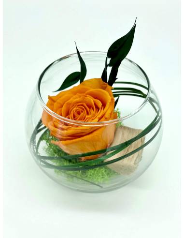 Boule déco rose éternelle Orange lichen, vue 2