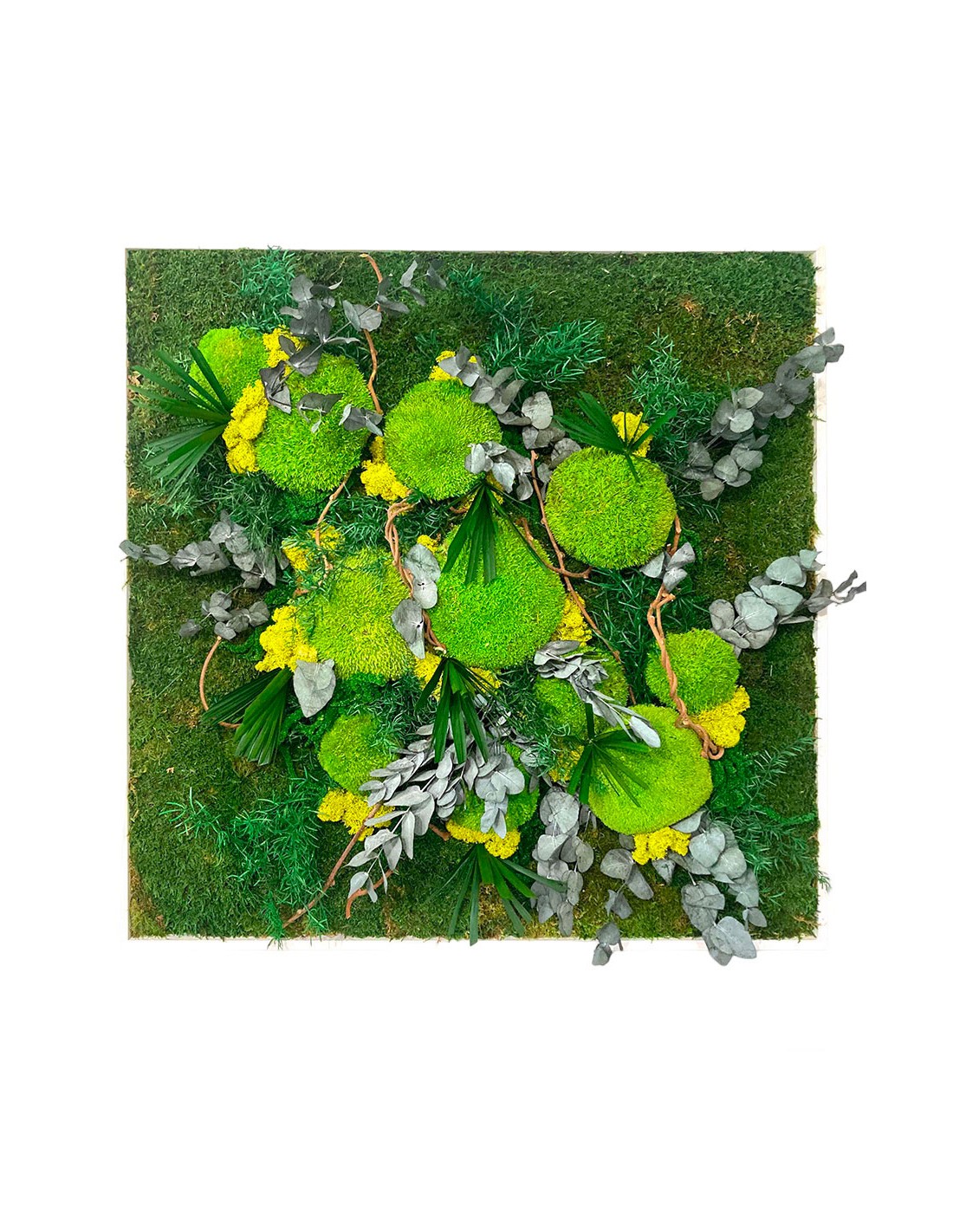 Naturalys - Cadre végétal stabilisé carré - La B'O Aime floral à Champeix