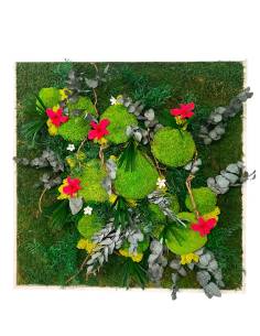 Tableau végétal stabilisé carré XL orchid Fuchsia