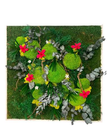 Tableau végétal stabilisé carré XL orchid Fuchsia