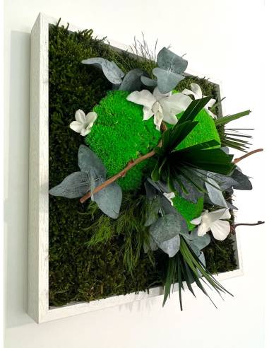 Tableau végétal stabilisé carré M white orchid, vue 2