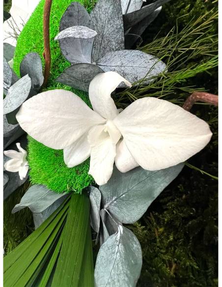 Tableau végétal stabilisé carré M white orchid, vue 4