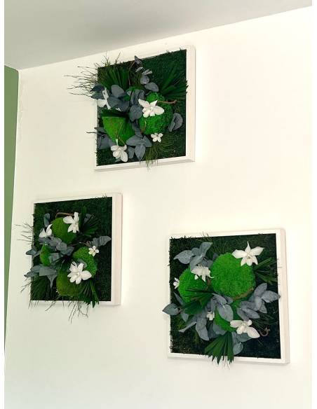 Tableau végétal stabilisé carré M white orchid, vue 5