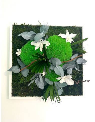 Tableau végétal stabilisé carré M white orchid