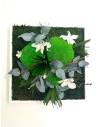 Tableau végétal stabilisé carré M white orchid