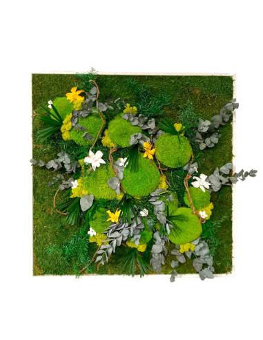 Tableau végétal stabilisé carré XL orchid Jaune et Blanc