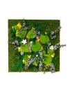 Tableau végétal stabilisé carré XL orchid Jaune et Blanc