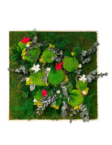 Tableau végétal stabilisé carré XL orchid Fuchsia et Blanc