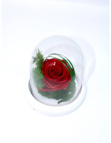 Rose éternelle Rouge dans sa cloche XS, vue 2