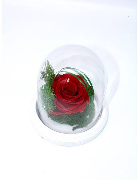 Rose éternelle Rouge dans sa cloche XS, vue 2