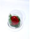 Rose éternelle Rouge dans sa cloche XS, vue 2