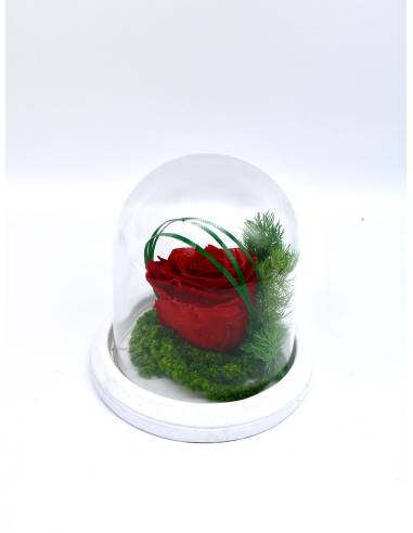 Rose éternelle Rouge dans sa cloche XS, vue 3