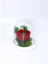 Rose éternelle Rouge dans sa cloche XS