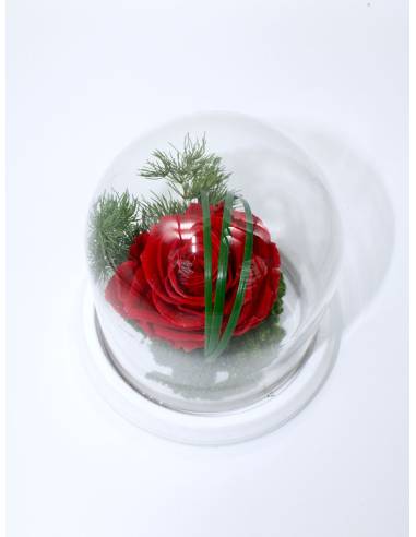 Rose éternelle Rouge dans sa cloche XS, vue 4