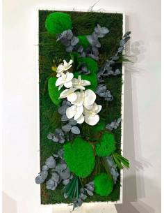 Tableau végétal stabilisé paysage L orchidée phalaenopsis