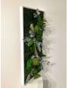 Tableau végétal stabilisé paysage L, vue 3