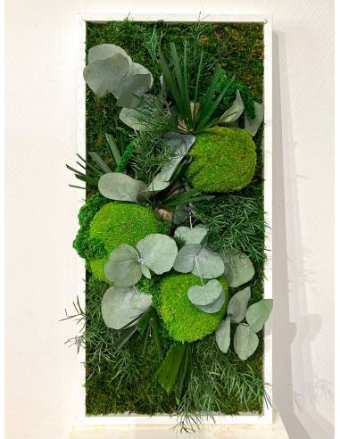 Tableau végétal stabilisé paysage M