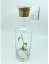 Plantaphore bouteille 1L Vanille, vue 7