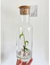Plantaphore bouteille 1L Vanille, vue 4