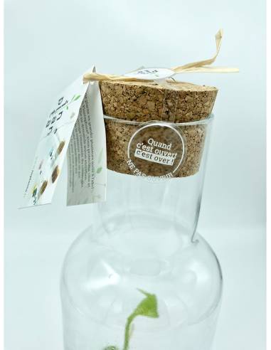 Plantaphore bouteille 1L Vanille, vue 10