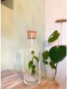 Plantaphore bouteille 1L Vanille, vue 3