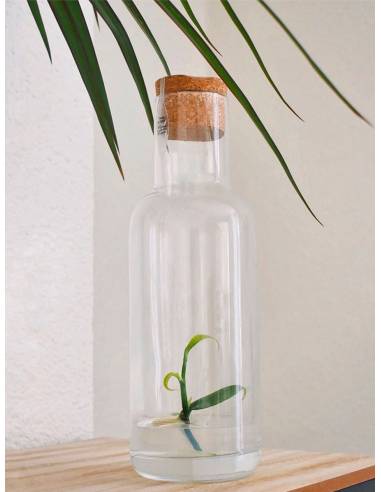Plantaphore bouteille 1L Vanille, vue 2