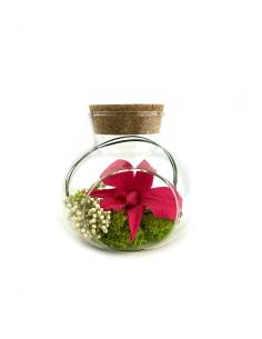Vase Lucca M orchidée Fuschia