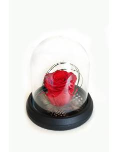 Rose éternelle Rouge dans sa cloche XS