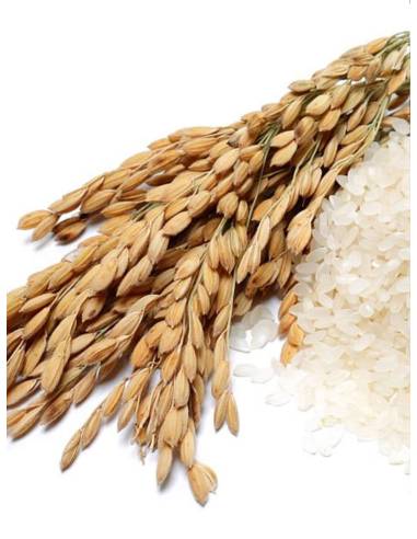 Bougie parfumée au parfum de Grasse - Poudre de Riz, vue 5