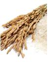 Bougie parfumée au parfum de Grasse - Poudre de Riz, vue 5