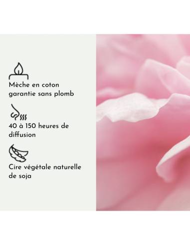 Bougie parfumée au parfum de Grasse - Pivoive Dorée, vue 4