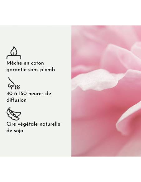 Bougie parfumée au parfum de Grasse - Pivoive Dorée, vue 4