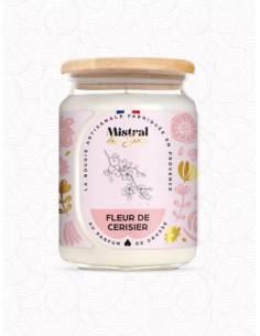 Bougie parfumée au parfum de Grasse - Fleur de Ceriser