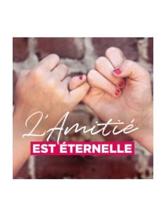Carte message l'amitié est éternelle