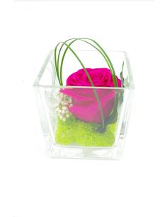 Cube déco rose éternelle Rose Fuchsia Lichen