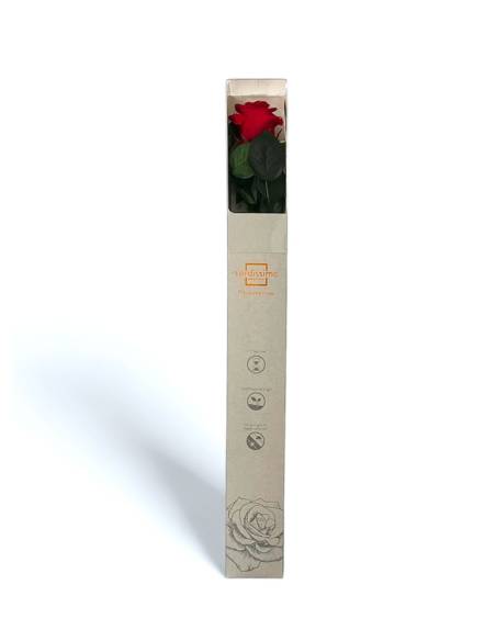 Rose éternelle stabilisée Rouge - Gift box, vue 1