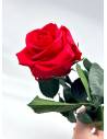 Rose éternelle stabilisée Rouge - Gift box