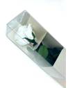 Rose éternelle stabilisée Blanche - Gift box, vue 4