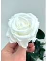 Rose éternelle stabilisée Blanche - Gift box, vue 3