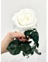 Rose éternelle stabilisée Blanche - Gift box