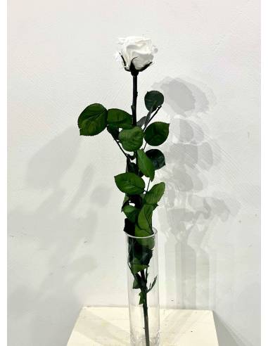 Rose éternelle stabilisée Blanche - Gift box, vue 6