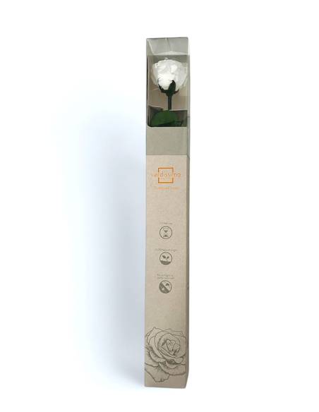 Rose éternelle stabilisée Blanche - Gift box, vue 1