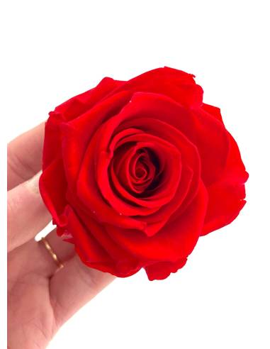 Bouton de rose éternelle stabilisée Rouge x 1, vue 4